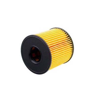 Refil do Filtro de Óleo Tecfil PEL263