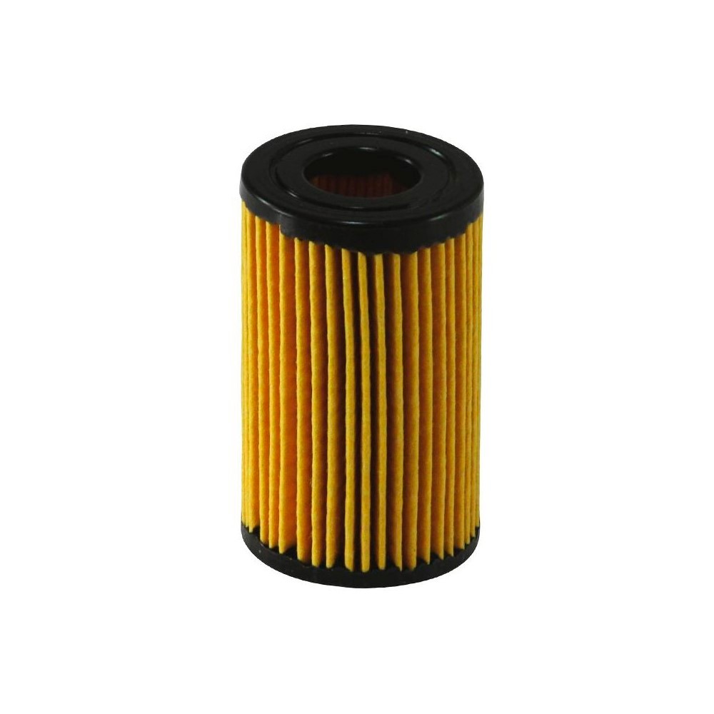 Refil do Filtro de Óleo Fram CH9580