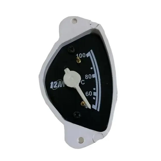 Relógio de Temperatura Elétrico 12M 20019