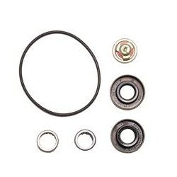 Reparo da Bomba Alimentadora Rochepecas 0030917401