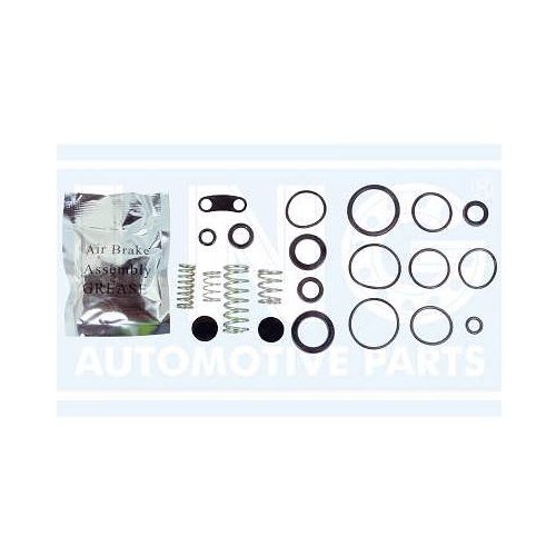 Reparo da Válvula LNG 43291