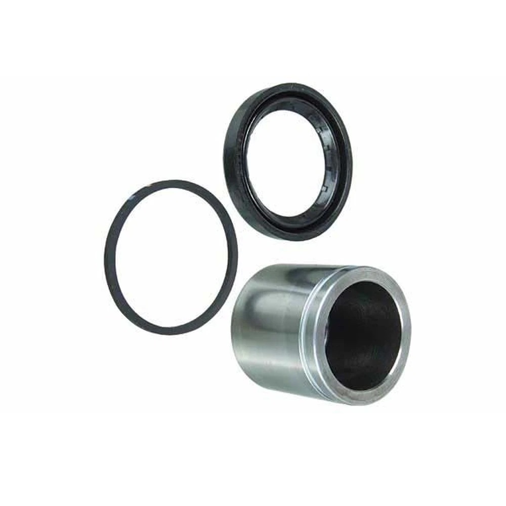 Reparo de Vedação da Pinça Bosch Freios 0204062077