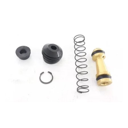 Reparo do Servo da Embreagem Wayser/Diesel VIA WRP0628