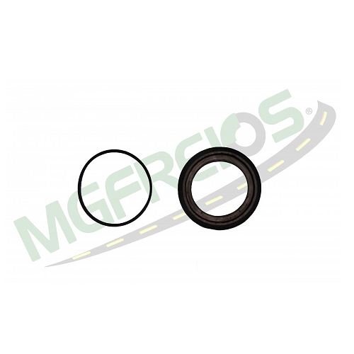 Reparo Vedação da Pinça de Freio MG Freios MG4048