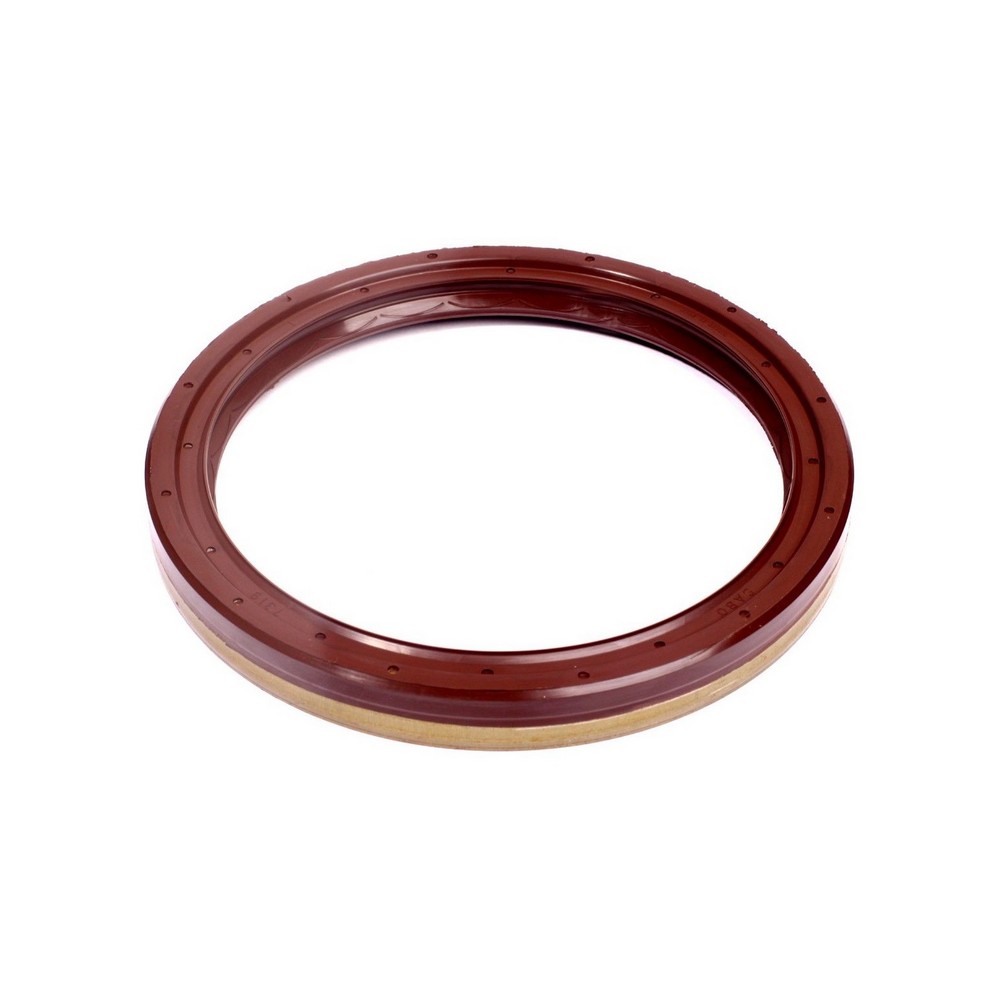 Retentor do Cubo de Roda Freio Ar traseiro Sabo 07319BRAGF