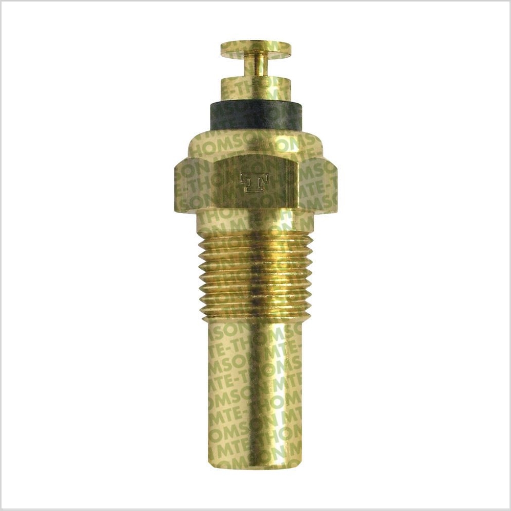 Sensor da Temperatura D'água MTE 3029