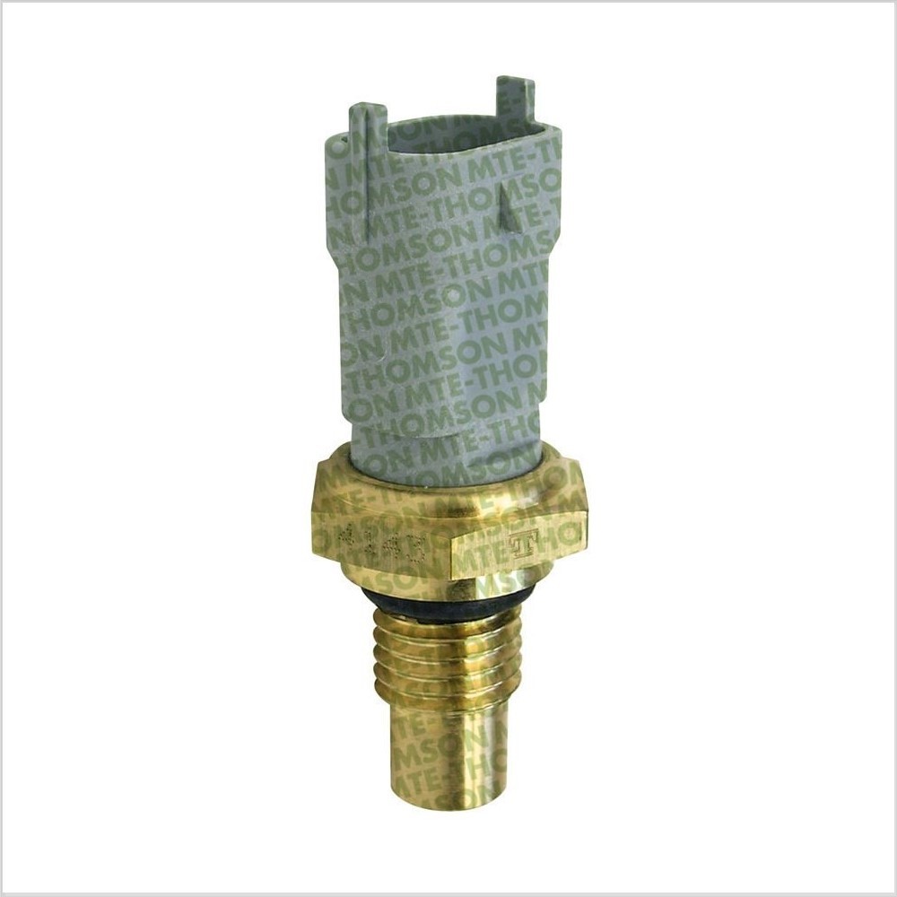 Sensor da Temperatura D'água Cinza MTE 4143