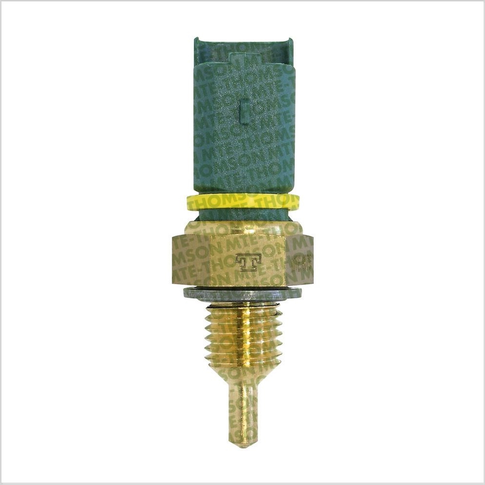 Sensor da Temperatura D'água MTE 4079