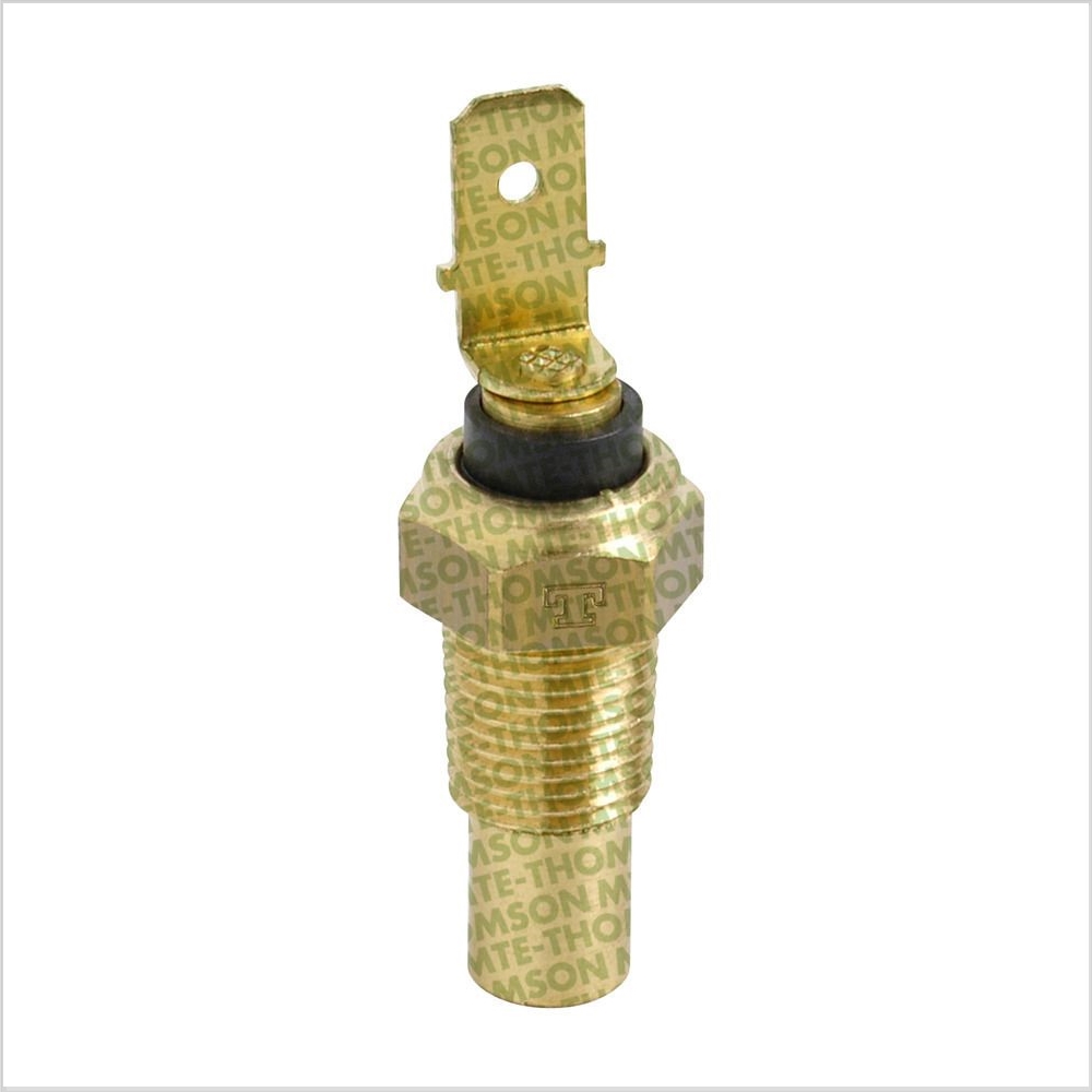 Sensor da Temperatura D'água do Painel MTE 3119