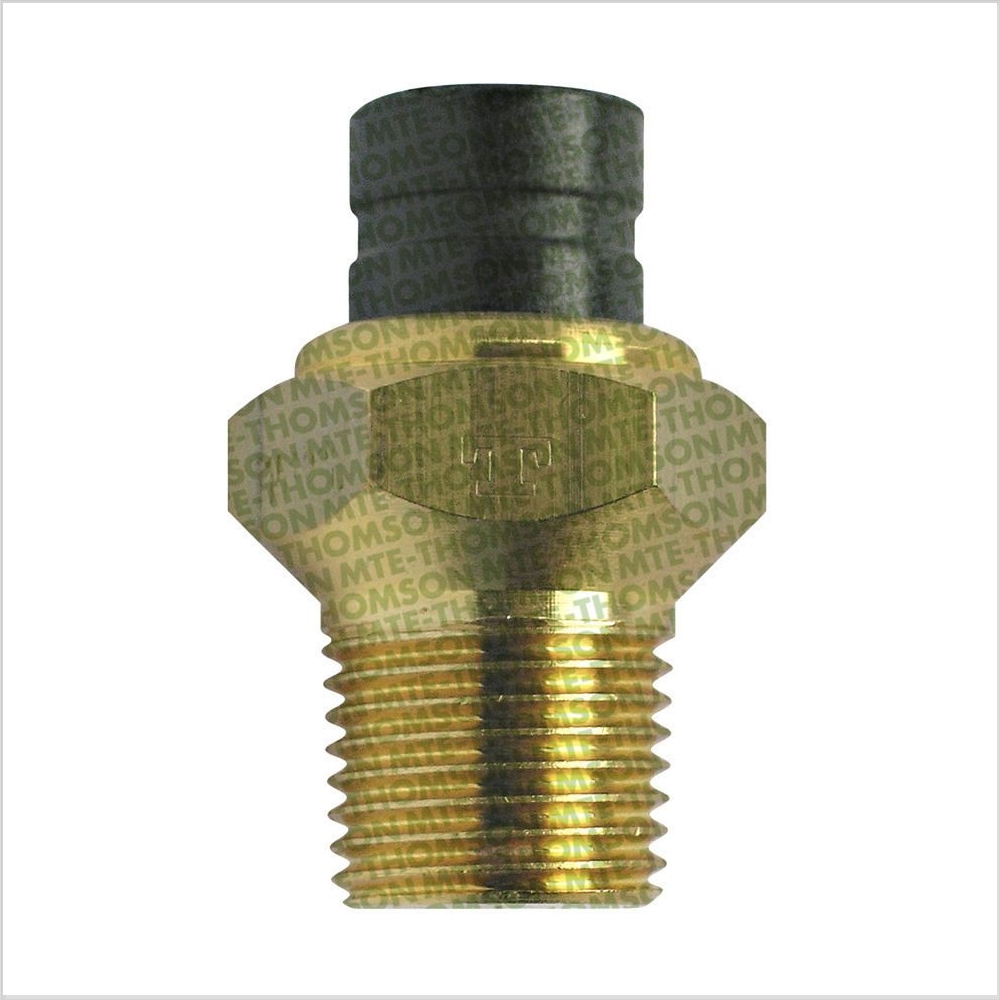Sensor da Temperatura D'água do Painel MTE 3046