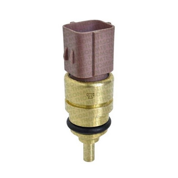 Sensor da Temperatura D'água MTE 4252
