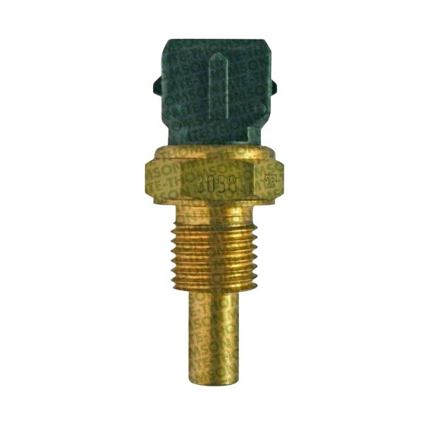 Sensor da Temperatura D'água MTE 3058
