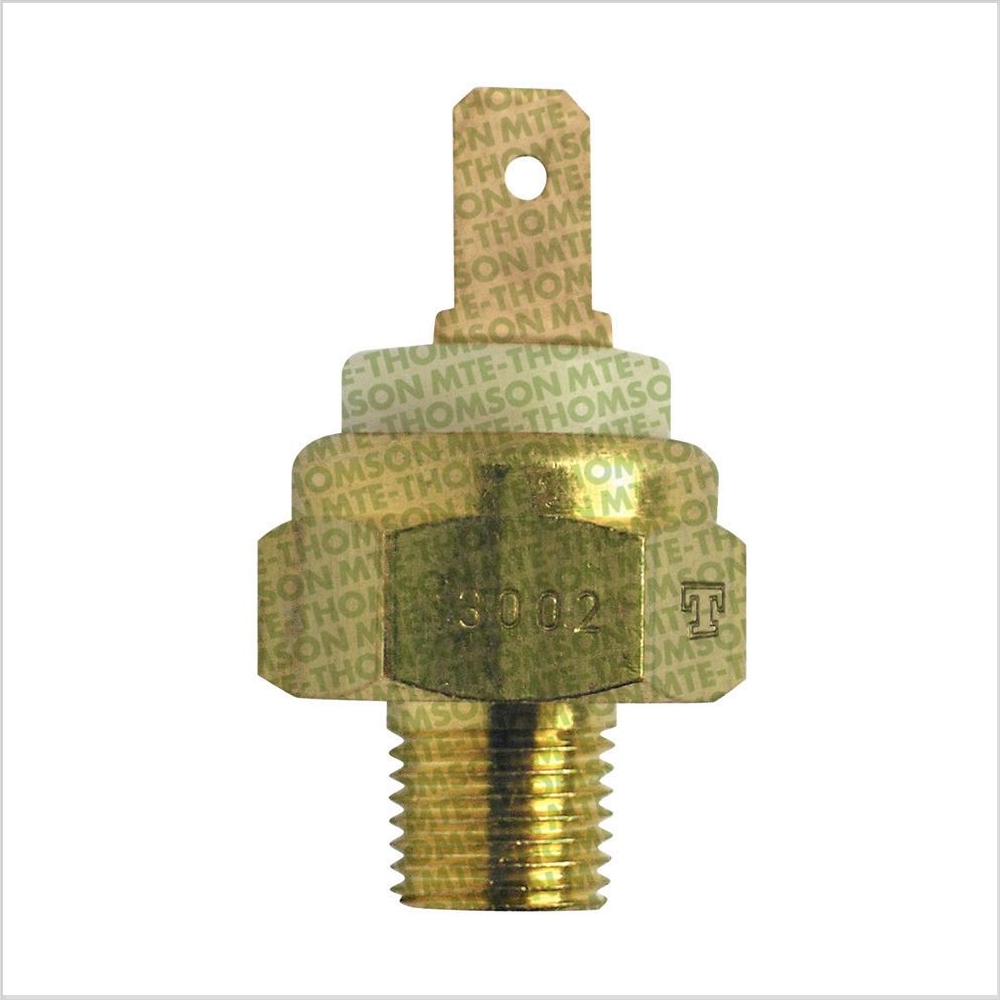 Sensor da Temperatura D'água MTE 3002