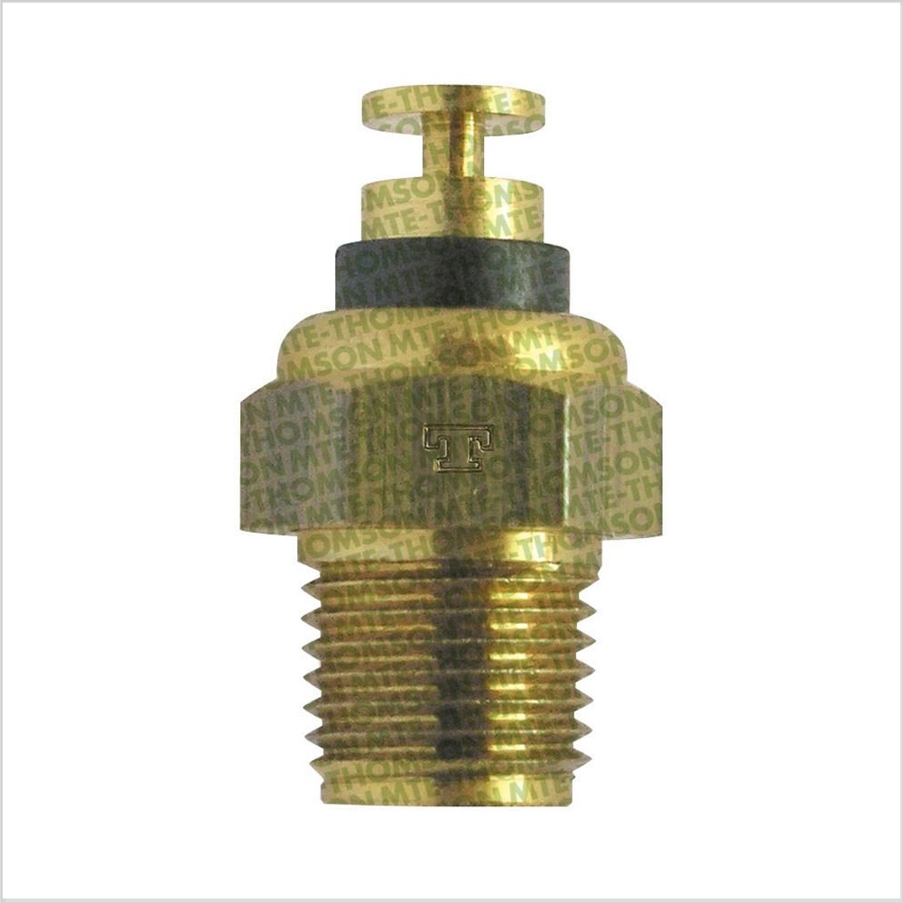 Sensor de Temperatura da Partida Frio MTE 3012