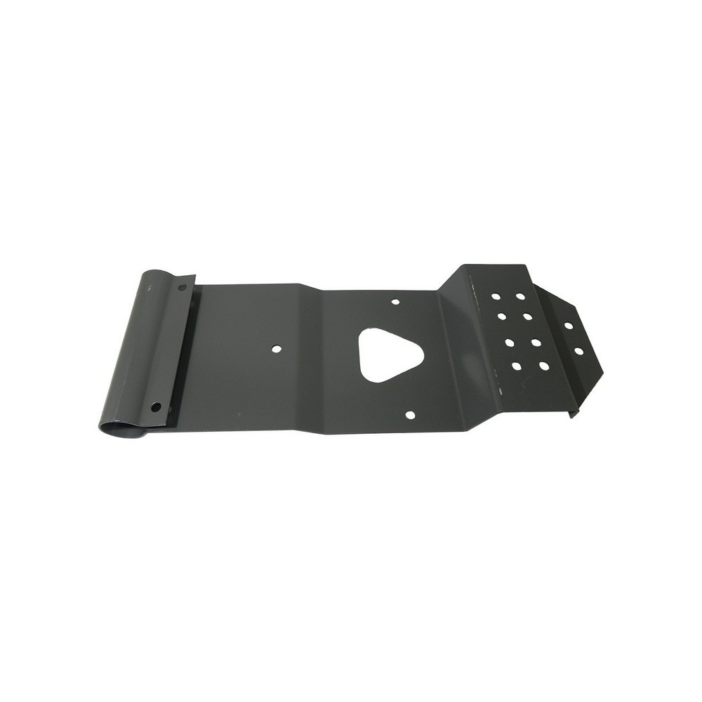 Suporte de PlacaTraseira F.confuorto 309424