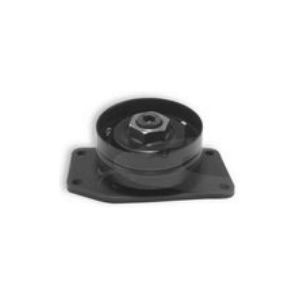 Tensor da Correia da Direção Hidráulica Cobra 2770