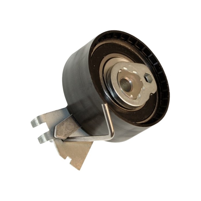 Tensor da Correia Dentada INA 5310572100