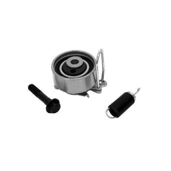 Tensor da Correia Dentada SKF VKM4797