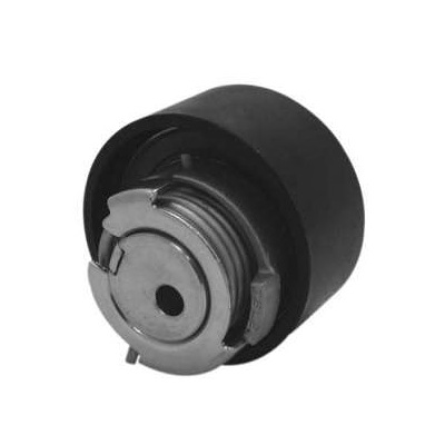 Tensor da Correia Dentada Nytron 7972