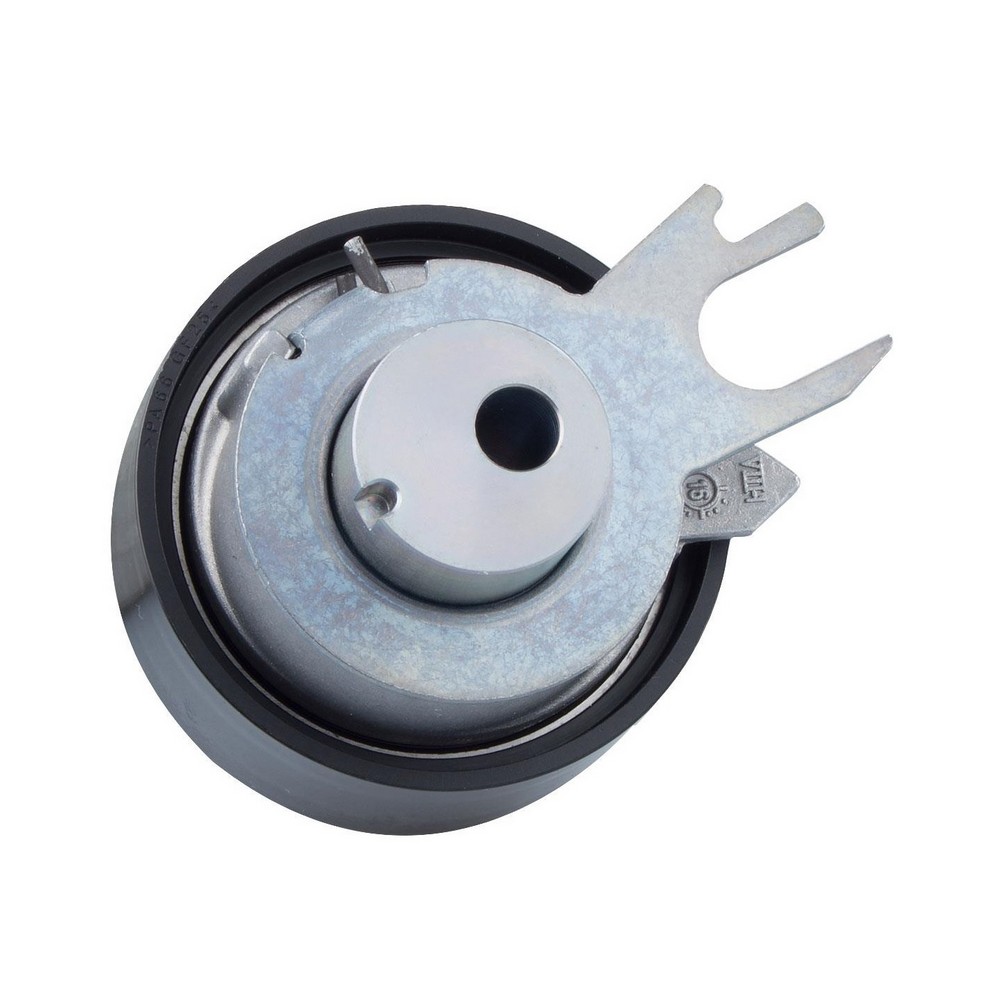 Tensor da Correia Dentada INA 5310317100