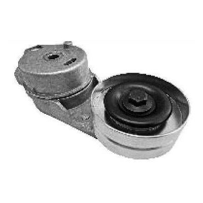 Tensor da Correia do Alternador SKF VKM60013A
