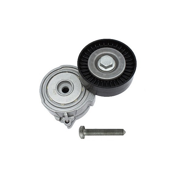 Tensor da Correia do Alternador INA 5340375100