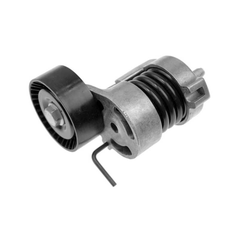 Tensor da Correia do Alternador INA 5340177100