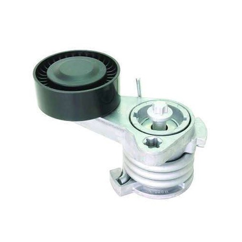 Tensor da Correia do Alternador Cobra CO5570