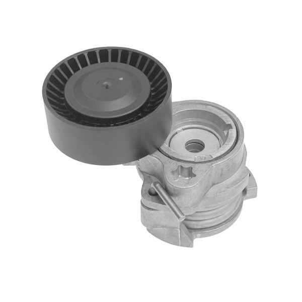 Tensor da Correia do Alternador INA 5340122100