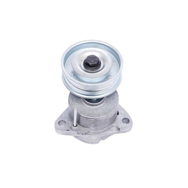 Tensor da Correia do Alternador Dayco APV2897