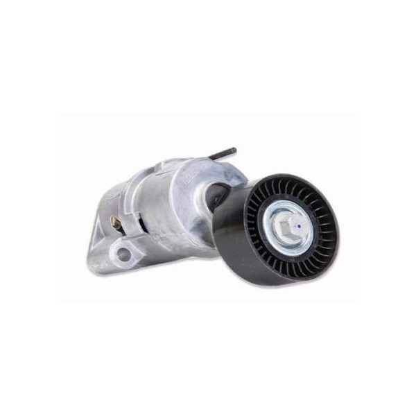 Tensor da Correia do Alternador SKF VKM4970