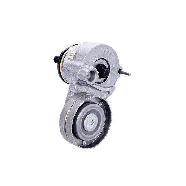 Tensor da Correia do Alternador Dayco APV2500