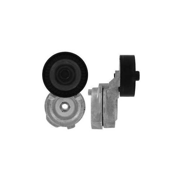 Tensor da Correia do Alternador SKF VKM38602