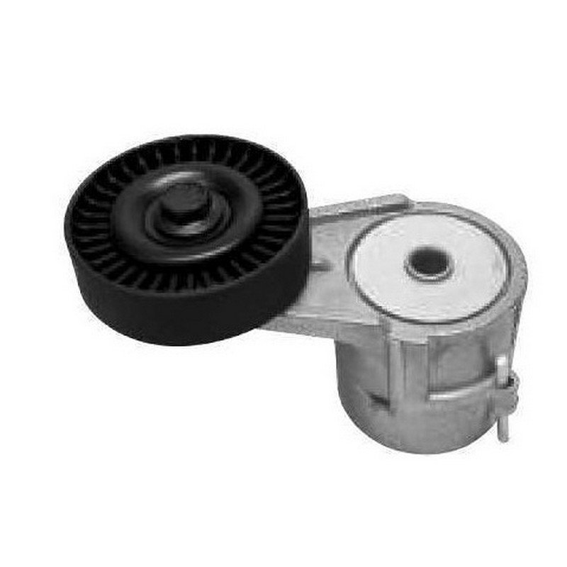Tensor da Correia do Alternador SKF VKM4906