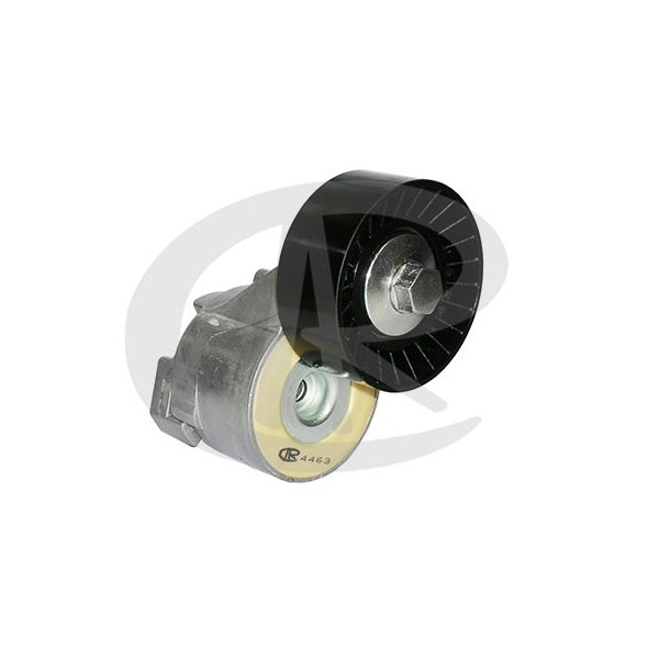 Tensor da Correia do Alternador Ranalle R4463