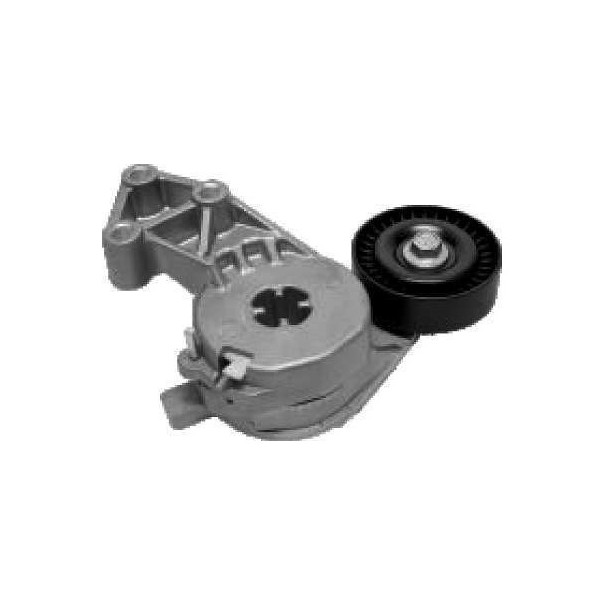 Tensor da Correia do Alternador com Direção Hidráulica com Ar SKF VKM31011L