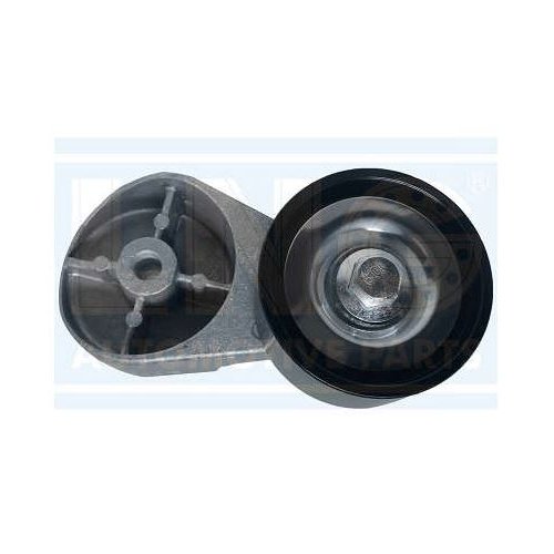 Tensor da Correia do Alternador Completo LNG 20456