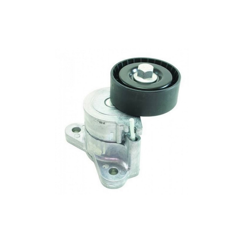 Tensor da Correia do Alternador Cobra 5388