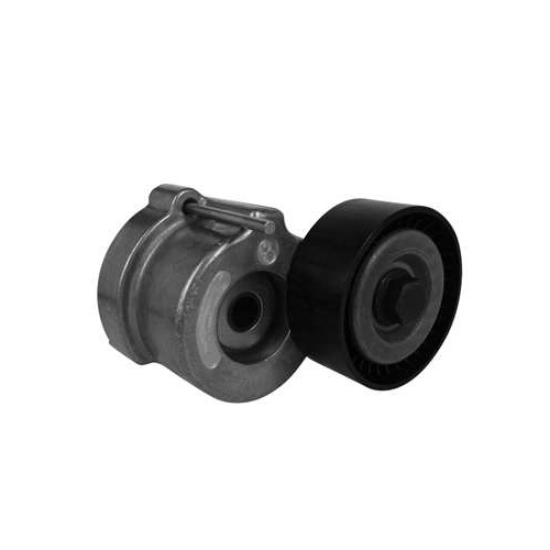 Tensor da Correia do Alternador Dayco APV2995