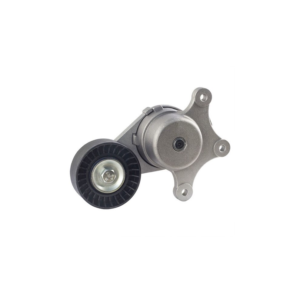 Tensor da Correia do Alternador Vetor VT8441