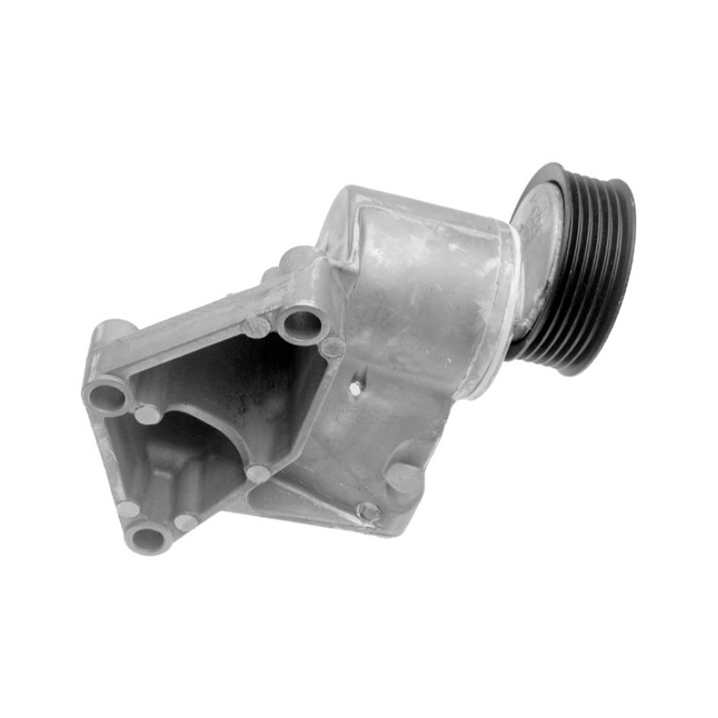 Tensor da Correia do Alternador INA 5340032100