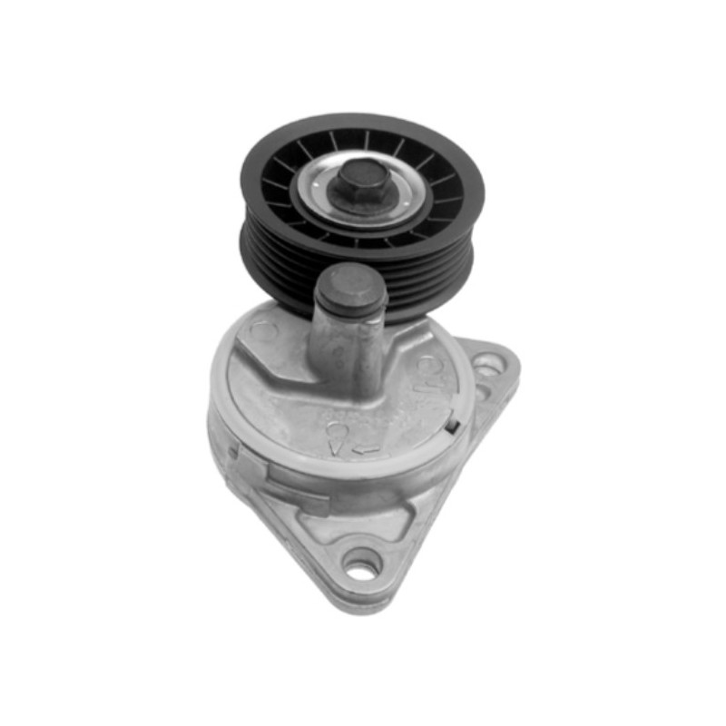 Tensor da Correia do Alternador INA 5340130200