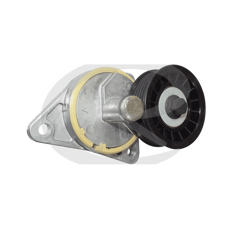 Tensor da Correia do Alternador Ranalle R4245