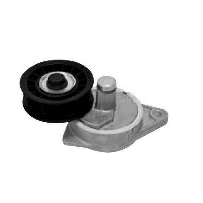 Tensor da Correia do Alternador SKF VKM34010