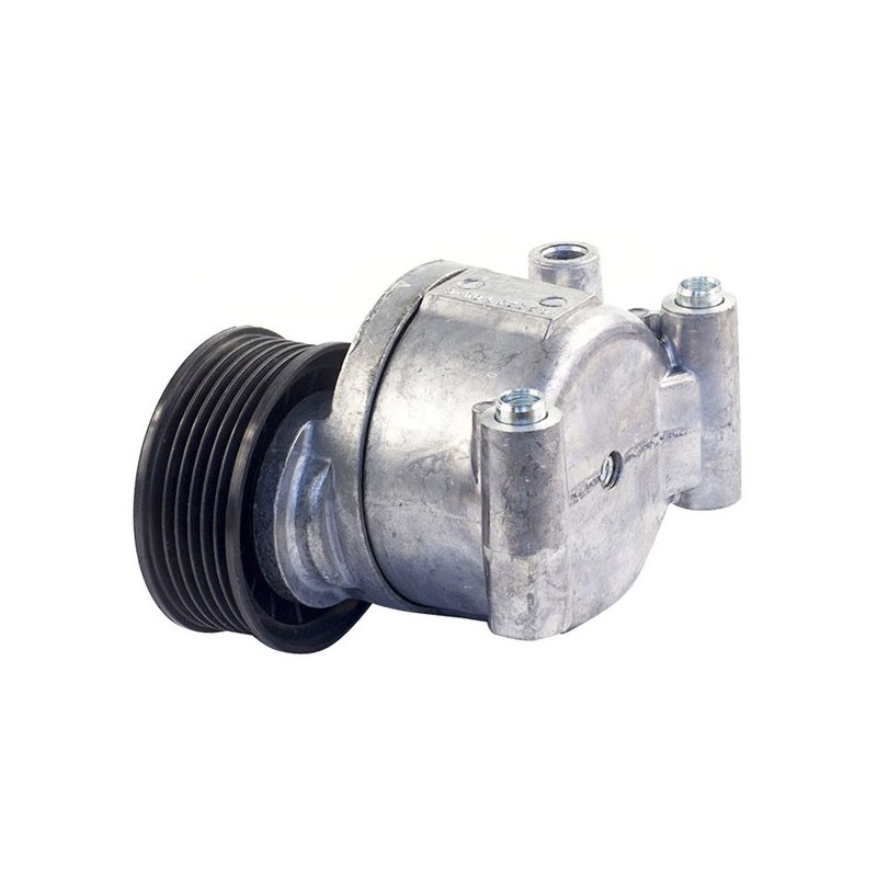 Tensor da Correia do Alternador Vetor VT8291, foto 3