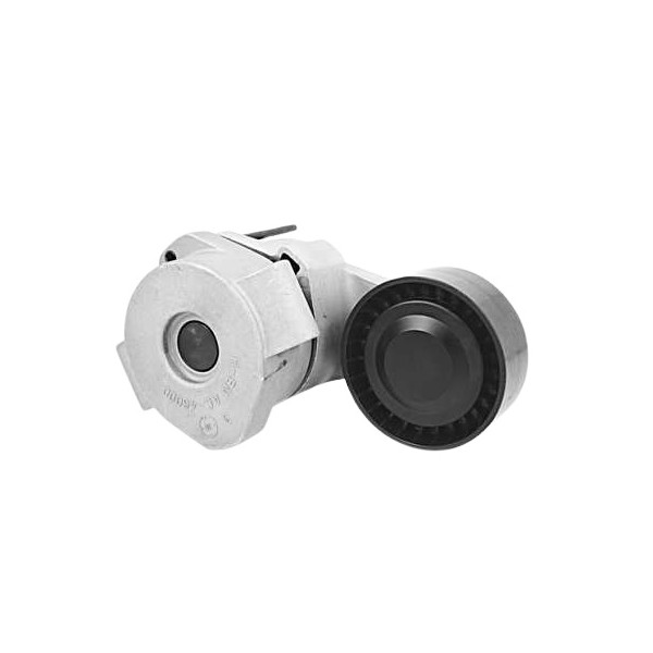 Tensor da Correia do Alternador Dayco APV2677