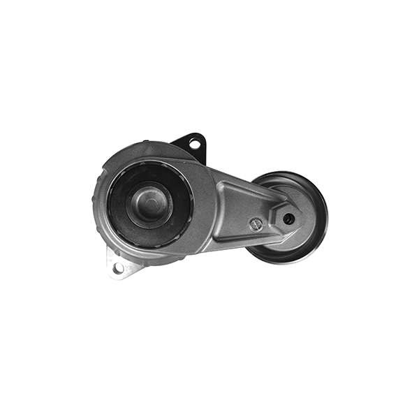 Tensor da Correia do Alternador Dayco APV3194