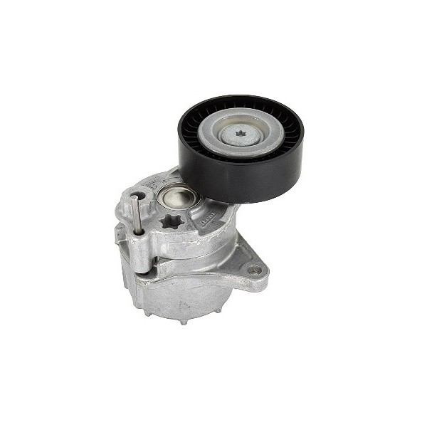 Tensor da Correia do Alternador INA 5340481100