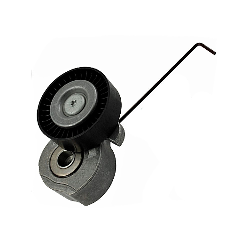 Tensor da Correia do Alternador INA 5340324100