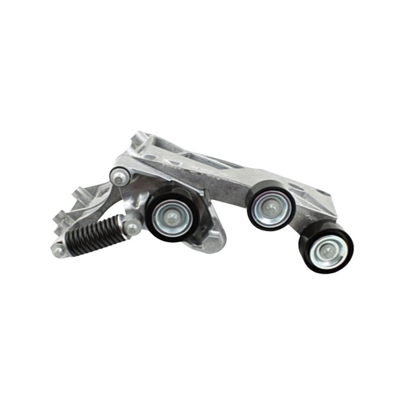 Tensor da Correia do Alternador INA 5340446100